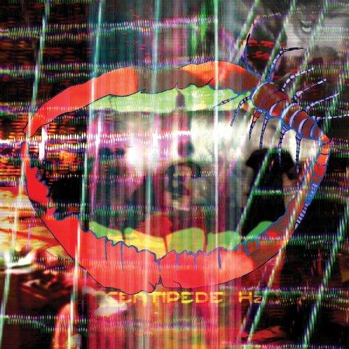 Animal Collective - Centipede Hz Limited Edition Vinyl LP | Indie Rock, Experimental Music | Perfect for Record Collectors & Music Enthusiasts