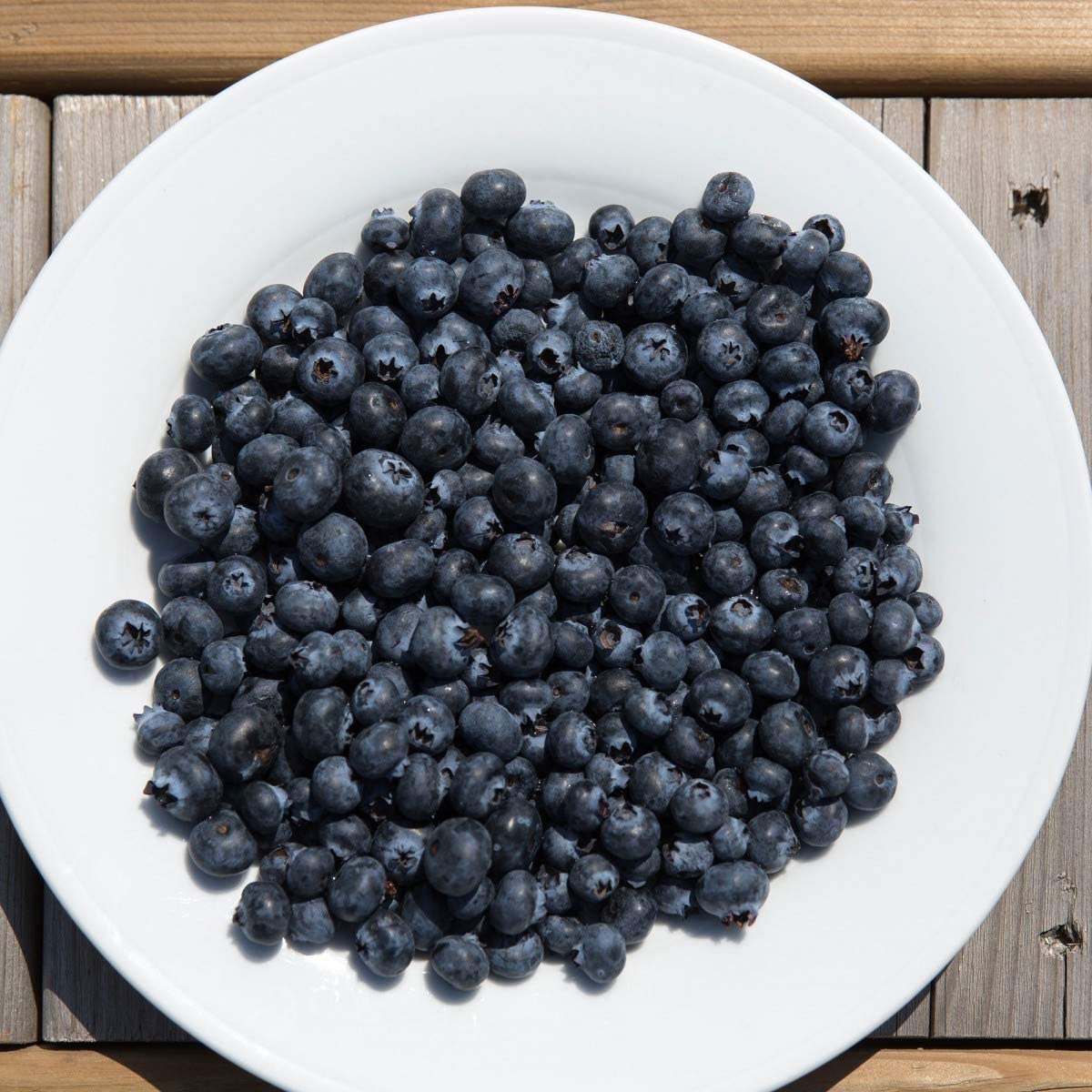Organic Sweetened Dried Blueberries in Bulk - 25 Pound Wholesale Box for Baking, Snacking & Smoothies | USA-Grown Antioxidant-Rich Superfood