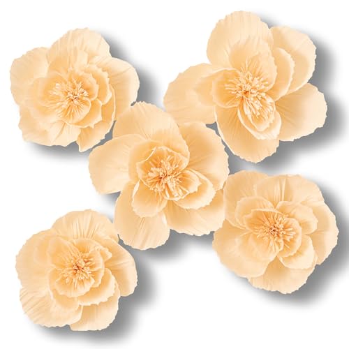 Cream;set/5