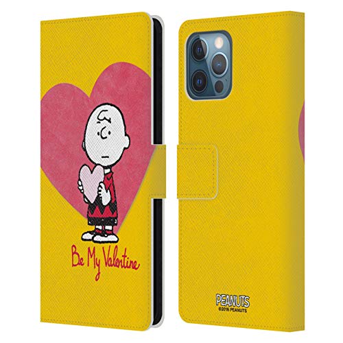 Charlie Brown Valentine 2