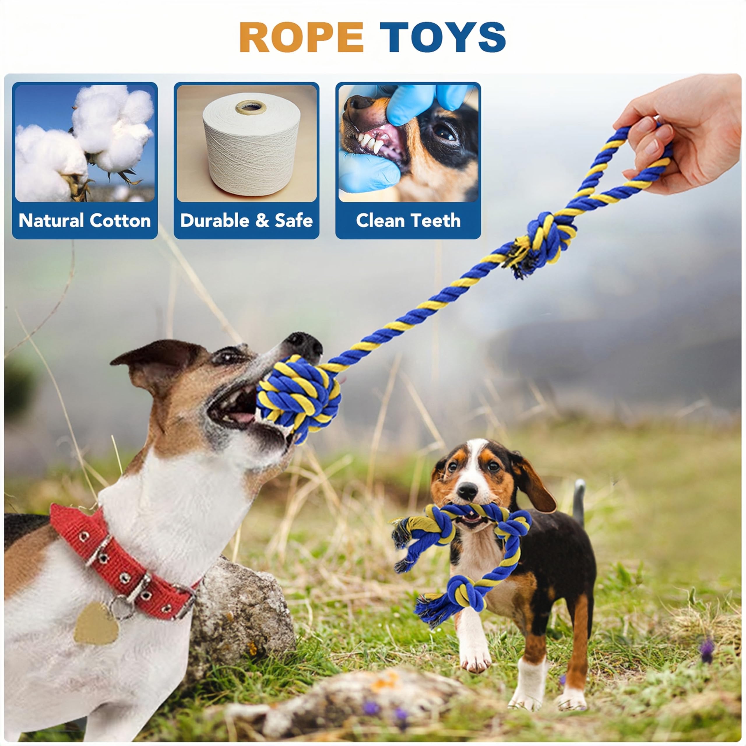 5 Pack Durable Dog Chew Toys for Puppies & Adult Dogs - Interactive Squeaky Plush Toys, Rope Toys & Chew Balls for Teeth Cleaning, Training & Playtime - Perfect for Indoor/Outdoor Fun, Boredom Relief & Bonding Time