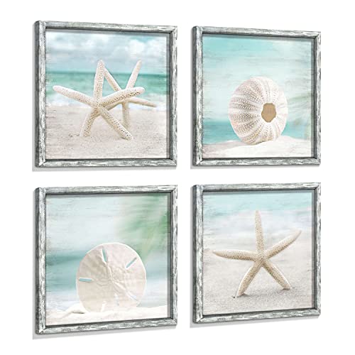 White Starfish & Shells