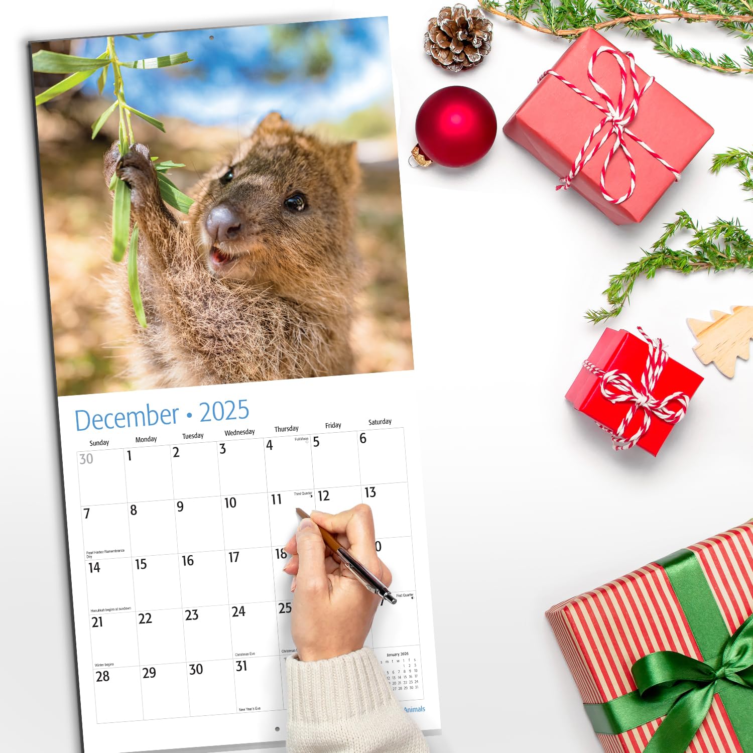 RED EMBER Smiling Animals 2025 Wall Calendar - 12 Months, 12