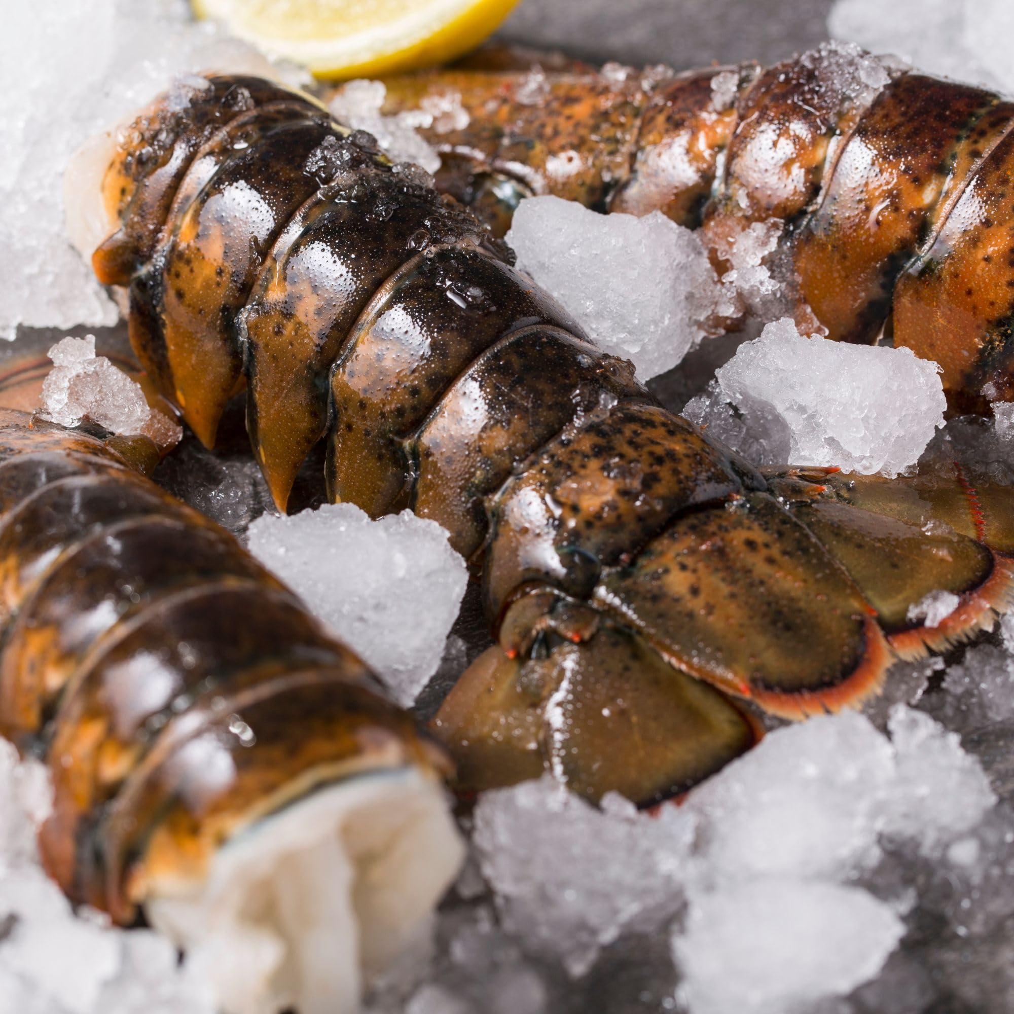 Premium Maine Lobster Tails 12-14oz (4 Pack) – Fresh Frozen Seafood for Gourmet Cooking, Special Occasions & Fine Dining at Home