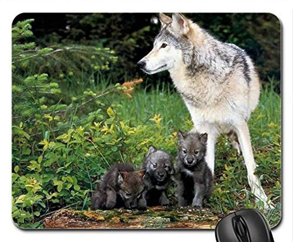 Wolf and Three Pups Gaming Mouse Pad - Extra Large Non-Slip Rubber Base Mouse Mat for PC, Laptop, Office & Gaming Setup | Perfect for Work, Gaming & Home Office Use