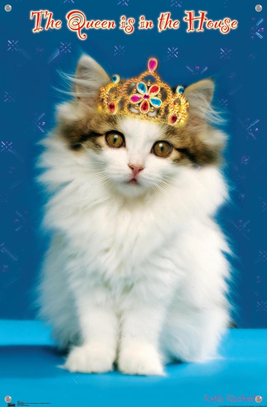 Keith Kimberlin Kitten Queen Wall Poster with Push Pins - Vintage Cat Art Print for Home Decor, Office & Dorm Room - Perfect Gift for Cat Lovers