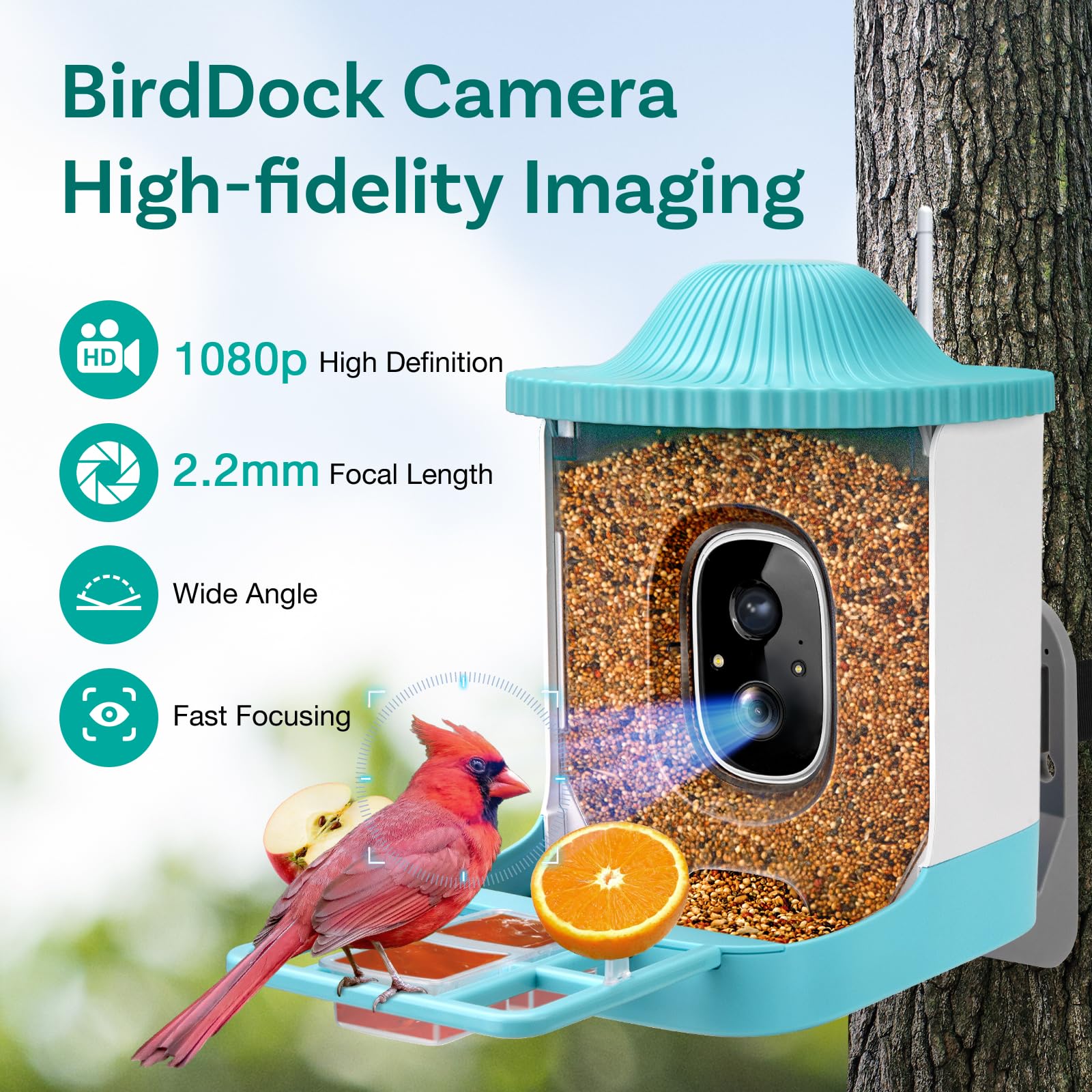 Smart Bird Feeder with Camera - AI Identifies 11,000+ Bird Species, Solar Powered, Motion Detection & Auto Capture Alerts - Perfect for Backyard Bird Watching & Wildlife Monitoring