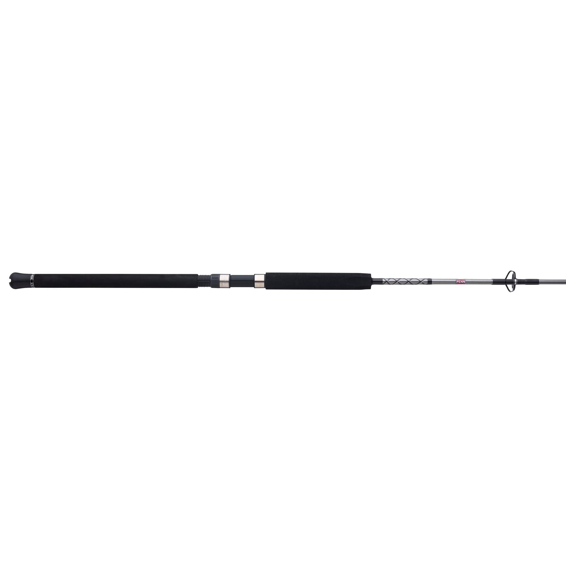 Ally™ II Spinning Boat Fishing Rod - Saltwater & Freshwater Fishing Pole for Offshore & Inshore Angling - Perfect for Deep Sea, Pier, and Kayak Fishing Adventures