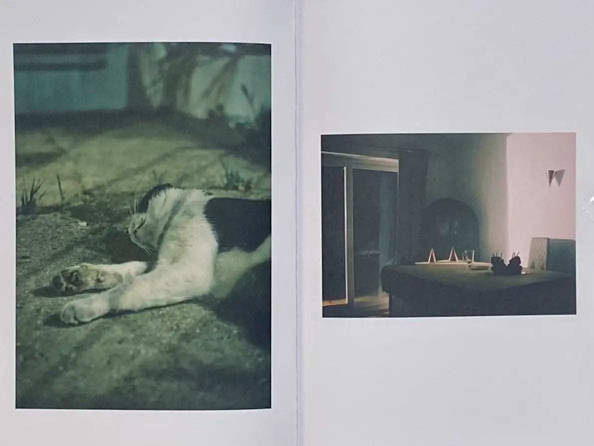 Night Moods: A Shutter Hub Editions Photography Book - Perfect for Coffee Table Decor, Photography Enthusiasts & Art Collectors