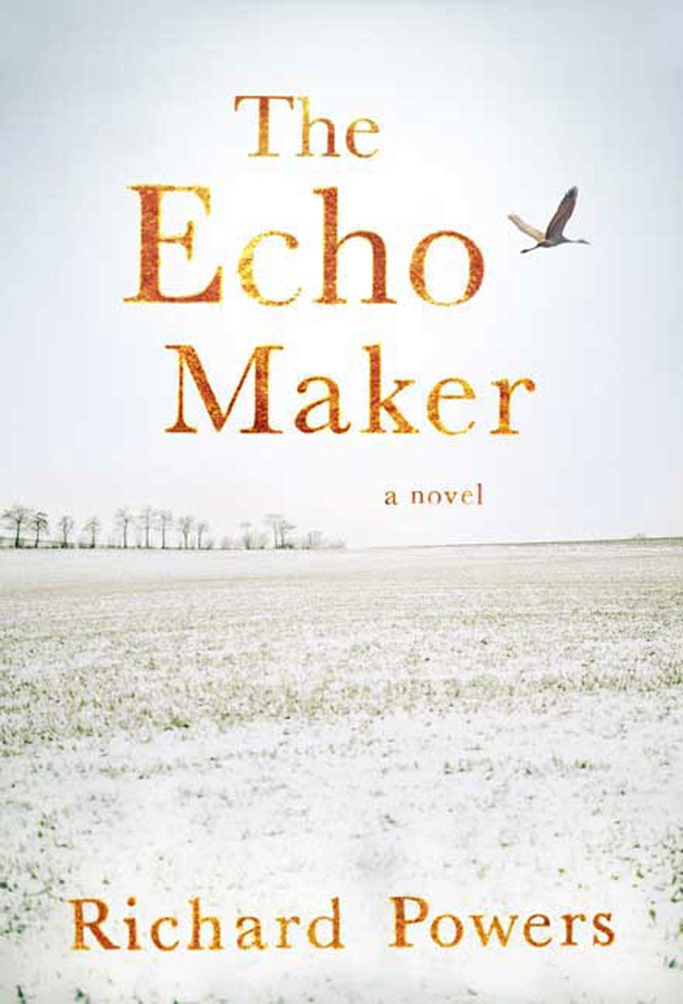 The Echo Maker: A Novel by Richard Powers - Gripping Psychological Mystery for Book Clubs & Literary Fiction Lovers