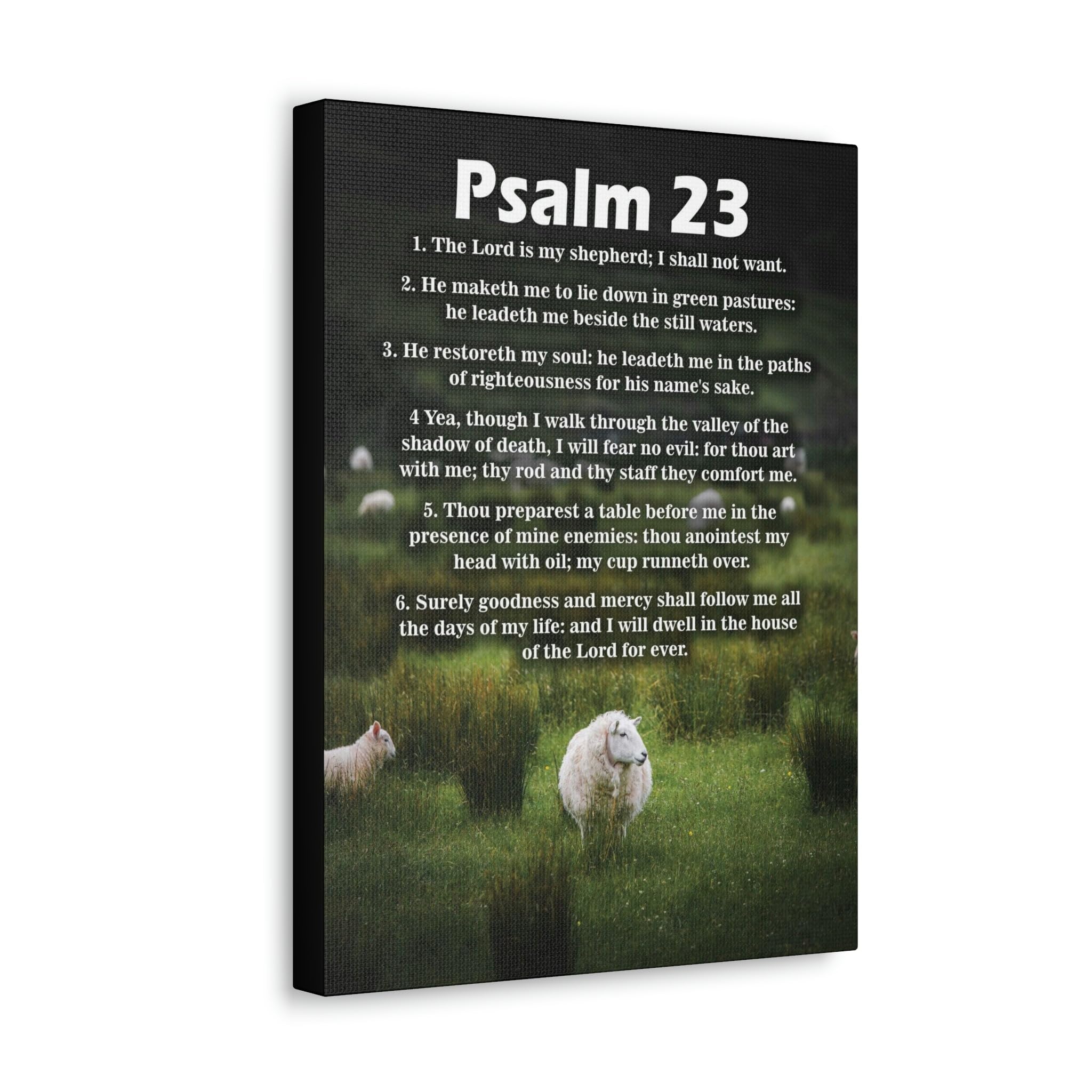 Psalm 23 Bible Verse Canvas Wall Art - Christian Scripture Home Decor - Perfect for Church, Bedroom & Living Room Inspiration