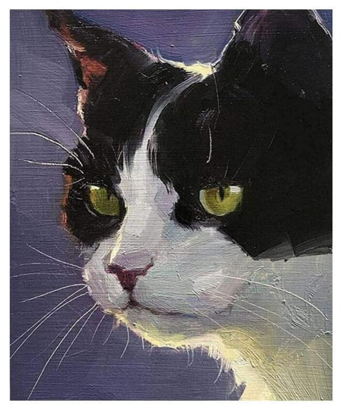 DIY Oil Painting by Numbers for Beginners - Persian Cat Animal Paint by Number Kit with Canvas | Easy Home Decor Art Gift for Adults & Kids | Perfect for Relaxation, Stress Relief & Wall Decoration