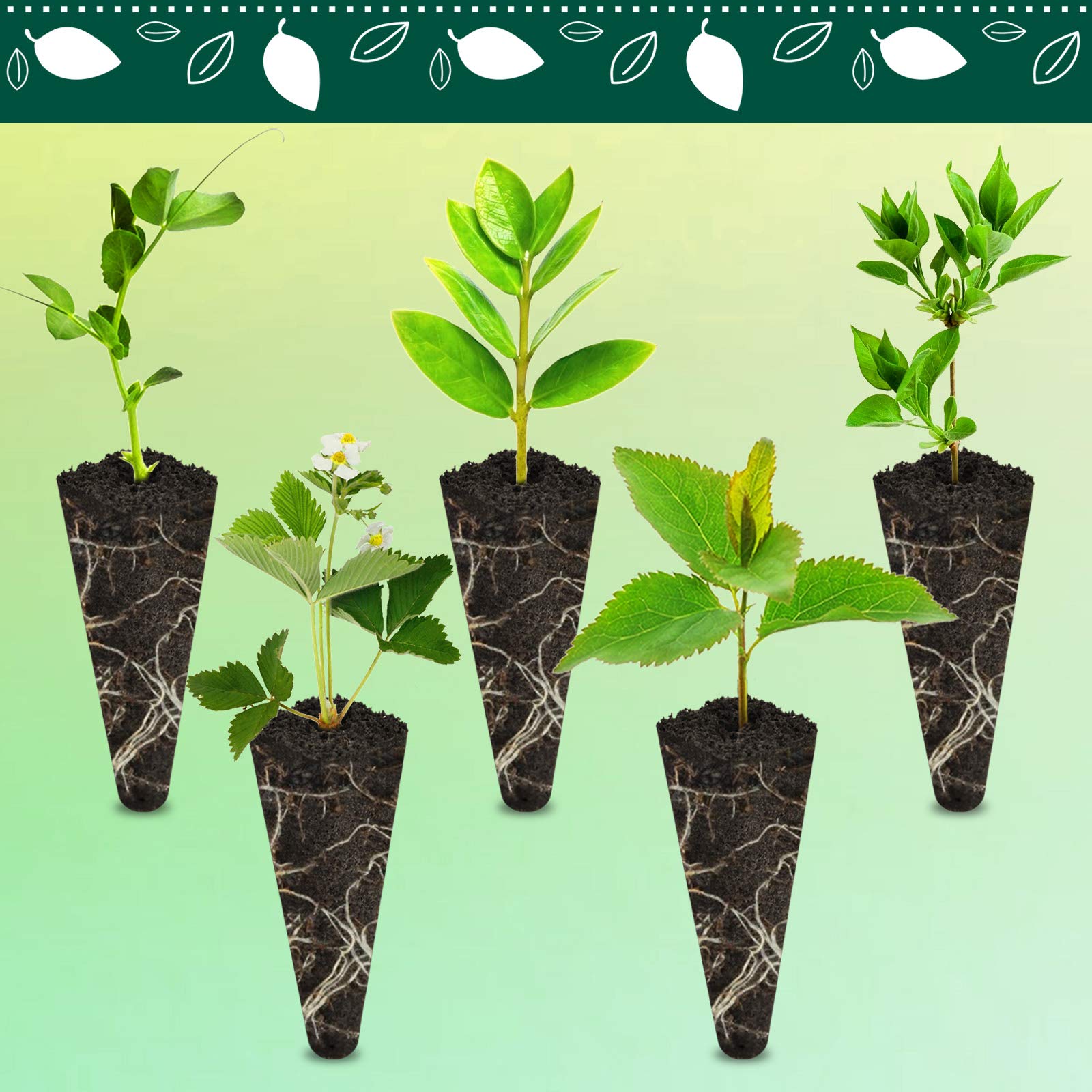 PACETAP 50-Pack Grow Sponges for Aerogarden - Hydroponic Seed Pods & Root Growth Sponges Refill Kit | Indoor Gardening, Seed Starting, Herb & Vegetable Growing | Perfect for Hydroponic Systems, Indoor Gardens & Home Planting