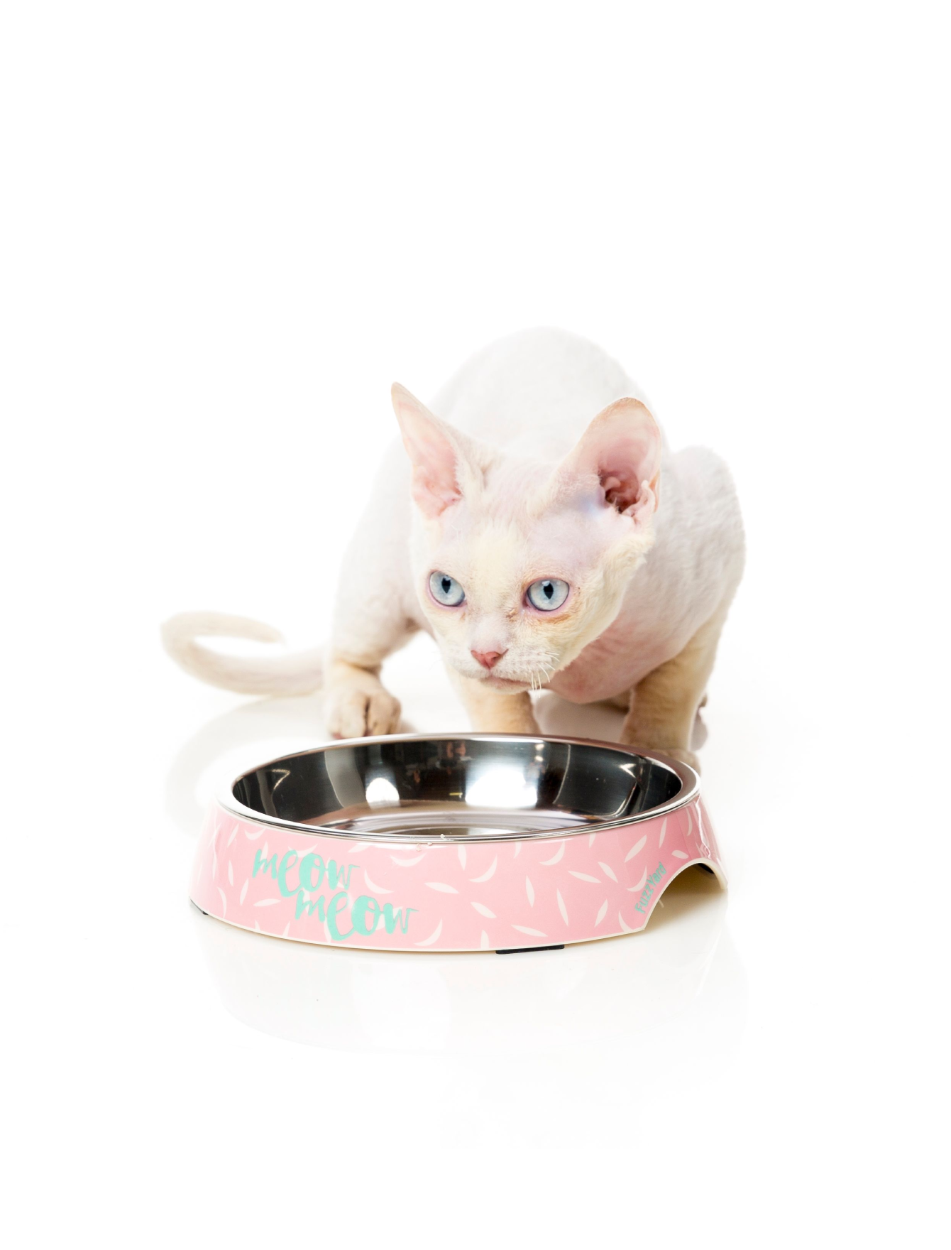 Premium FuzzYard Melamine Cat Bowl with Featherstorm Design - Durable, Non-Slip Pet Food Dish for Kittens & Adult Cats - Perfect for Wet/Dry Food & Water - Ideal for Home, Kitchen, or Travel Use