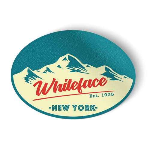 Squiddy Whiteface New York Vinyl Sticker Decal - Waterproof, Durable 3