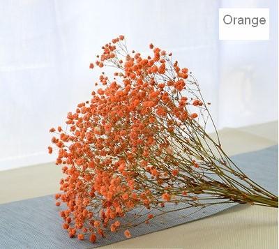 A bunch orange babys breath  (about 15 stems)