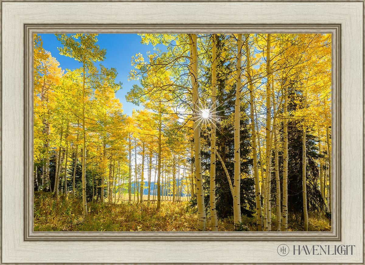 Autumn in the Rocky Mountains - Stunning Fall Foliage at Wasatch National Forest Utah | Perfect for Hiking, Photography & Nature Exploration