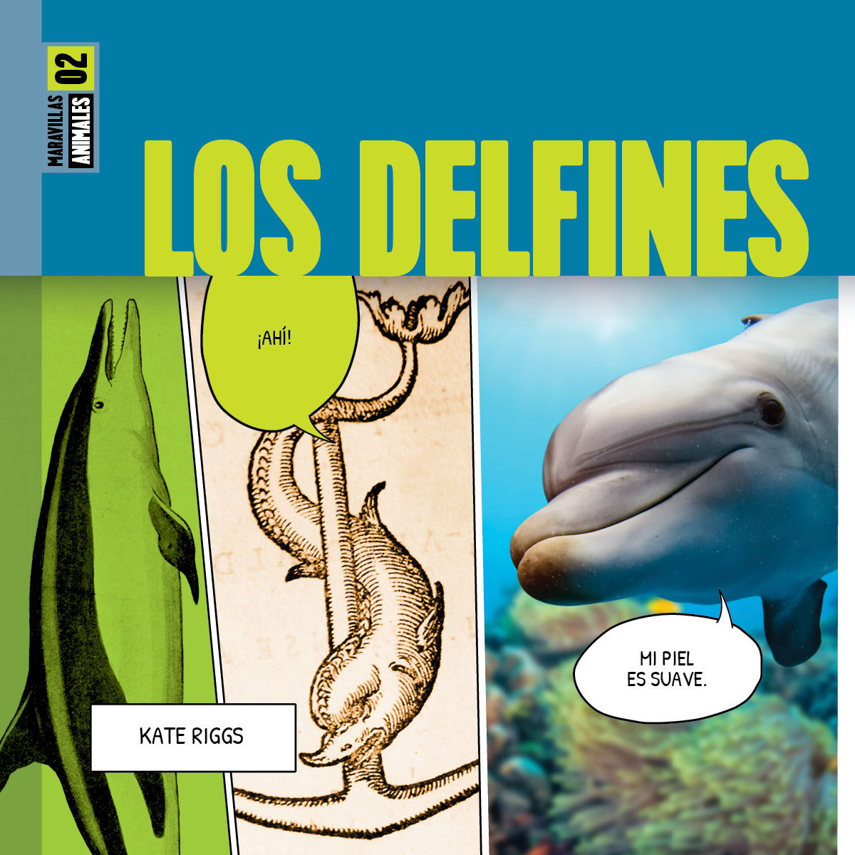 Dolphin-Themed Gifts & Decor - Perfect for Ocean Lovers, Kids' Rooms & Beach House Decorations