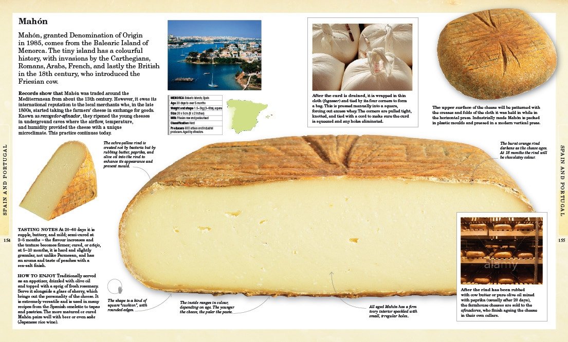 The World Cheese Book - A Comprehensive Guide to Global Cheeses | Perfect for Cheese Lovers, Cooking Enthusiasts & Gourmet Gifts