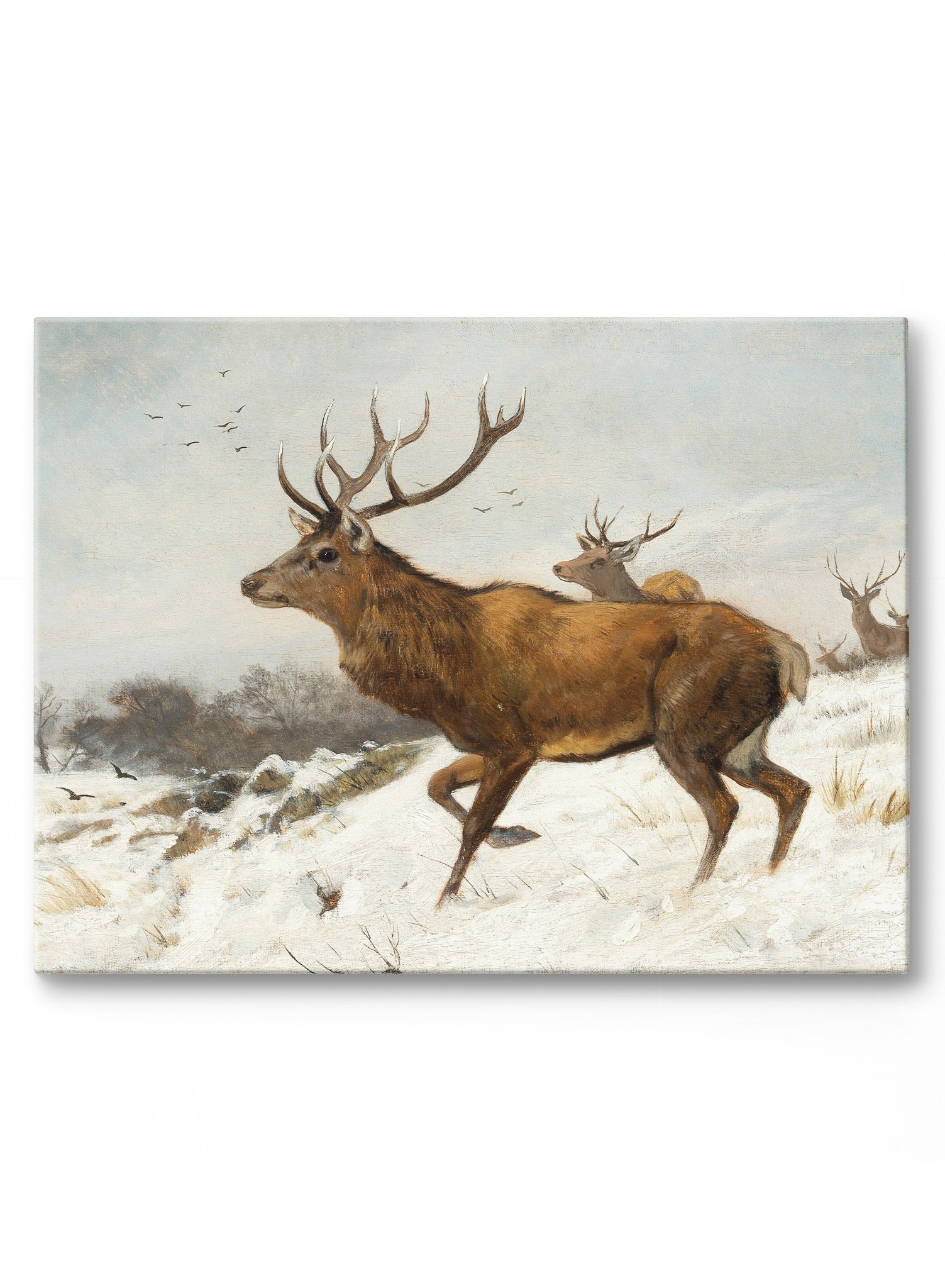 Oh Deer One Canvas Wall Art - Handmade Deer Painting for Home & Office Decor - Perfect for Living Room, Bedroom, or Gift Giving