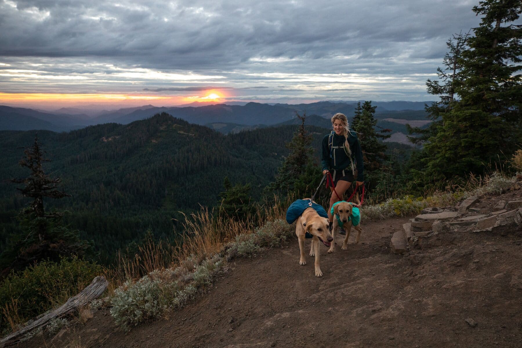 Ruffwear Front Range Dog Backpack - Lightweight & Adjustable Day Pack for Hiking & Outdoor Adventures - Lunar Blue (Mochila/Alforja para Perros) - Perfect for Camping, Trail Walks & Pet Travel Accessories
