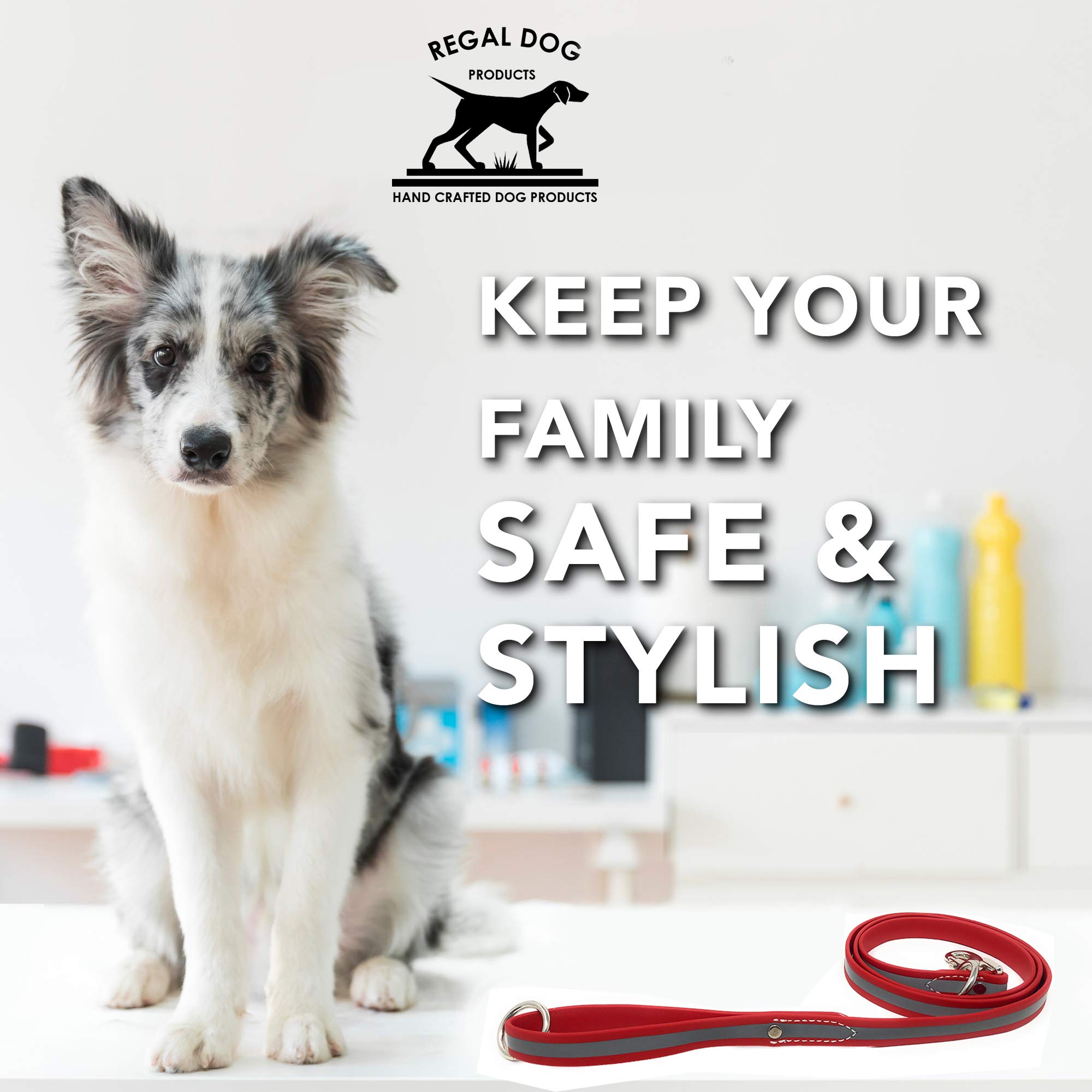 Regal Dog Products 5ft Reflective Dog Leash - Strong & Lightweight Pet Lead with Easy Collar Hook for Small, Medium, Large & XL Dogs - Perfect for Night Walks, Jogging & Outdoor Adventures (Red)