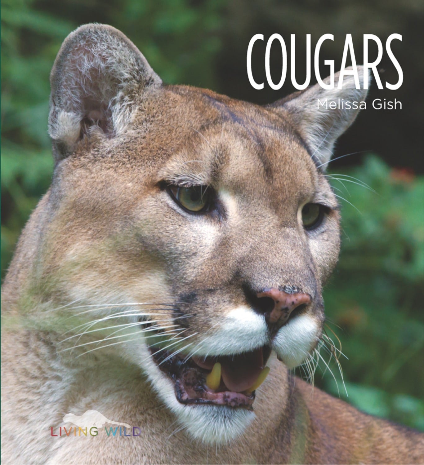 Cougars Book ISBN 9781608181674 - Wildlife & Nature Reading for Outdoor Enthusiasts & Animal Lovers