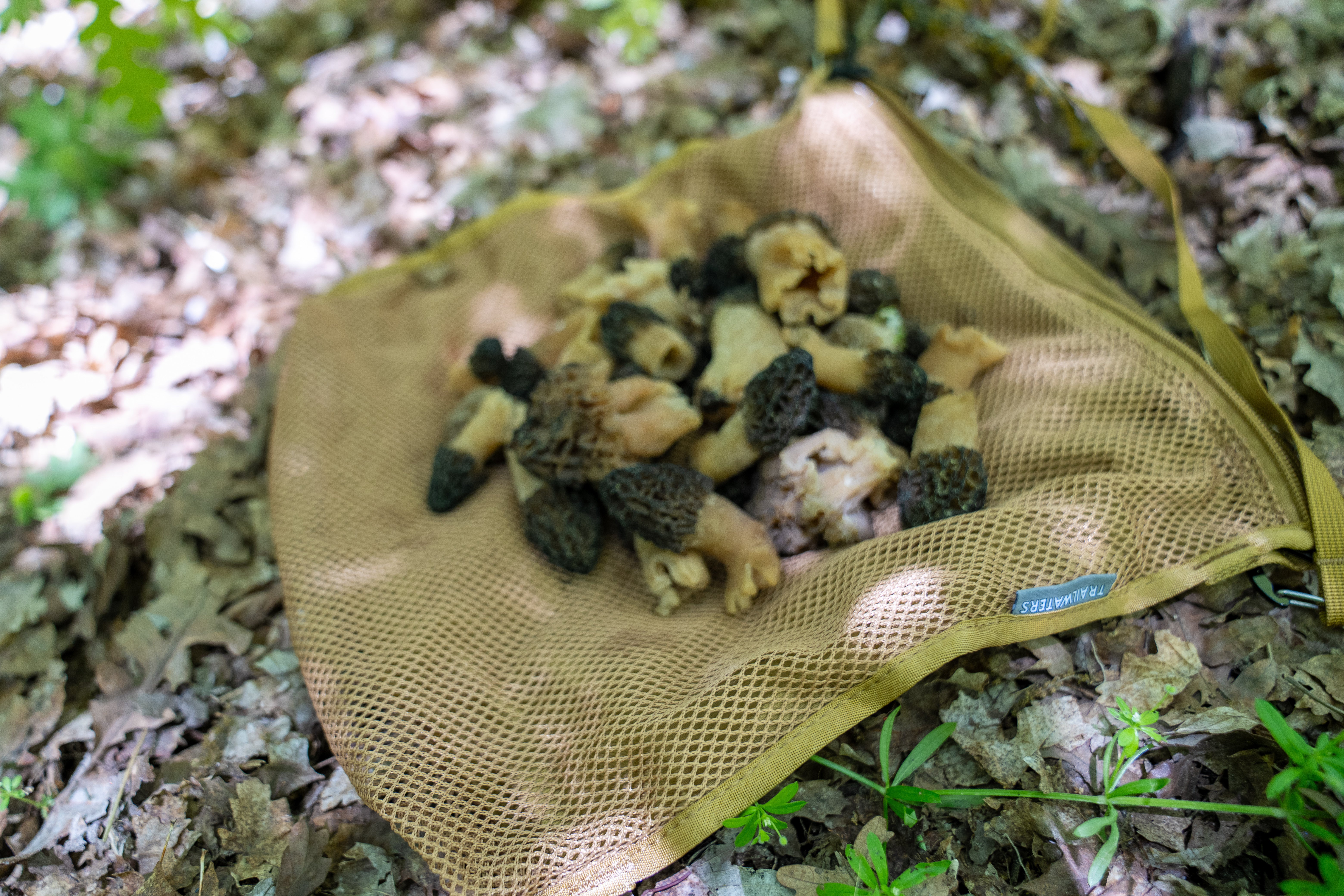 Forager Bag - Durable & Lightweight Gathering Pouch for Outdoor Hiking, Camping & Wildcrafting | Perfect for Mushroom Hunting, Berry Picking & Nature Exploration