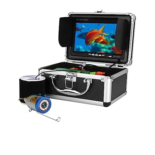 30M with DVR