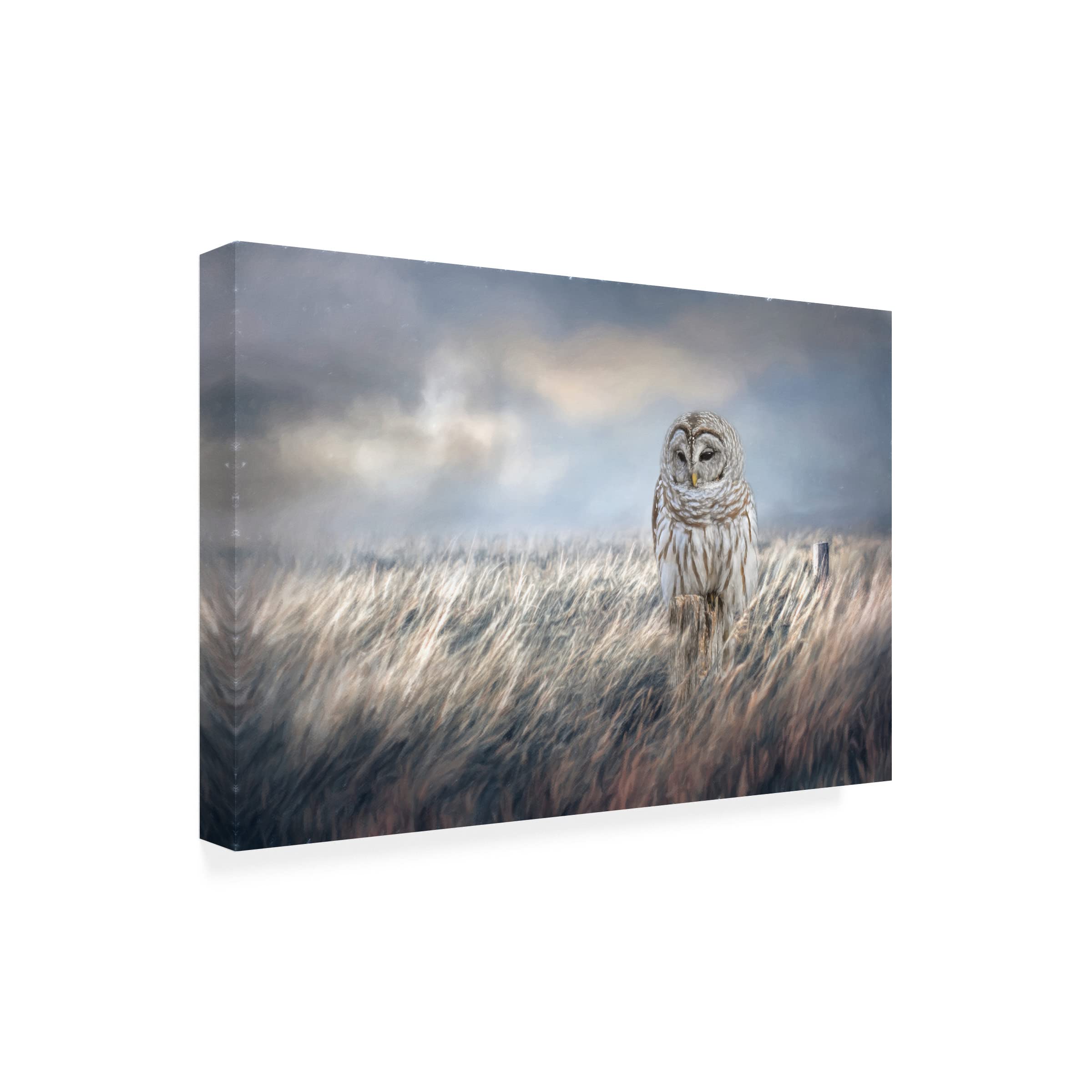 Trademark Fine Art 'Field Seeker' by Jai Johnson - 22x32 Inch Canvas Wall Art for Living Room, Bedroom & Office Decor | Nature Landscape Painting