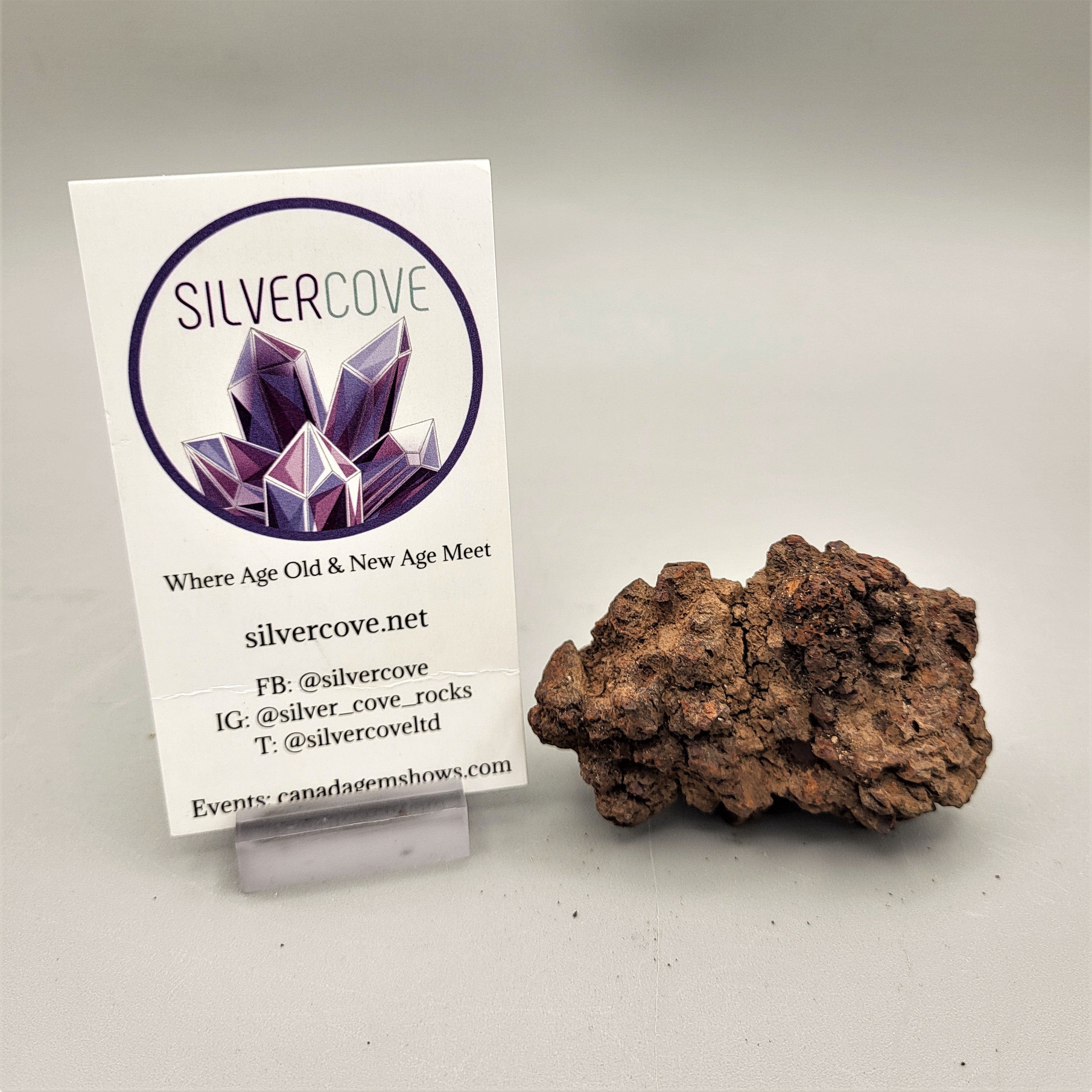 Authentic Coprolite Fossil Specimen - Dinosaur Poop Fossil for Collectors & Science Enthusiasts - Perfect for Educational Displays & Unique Home Decor