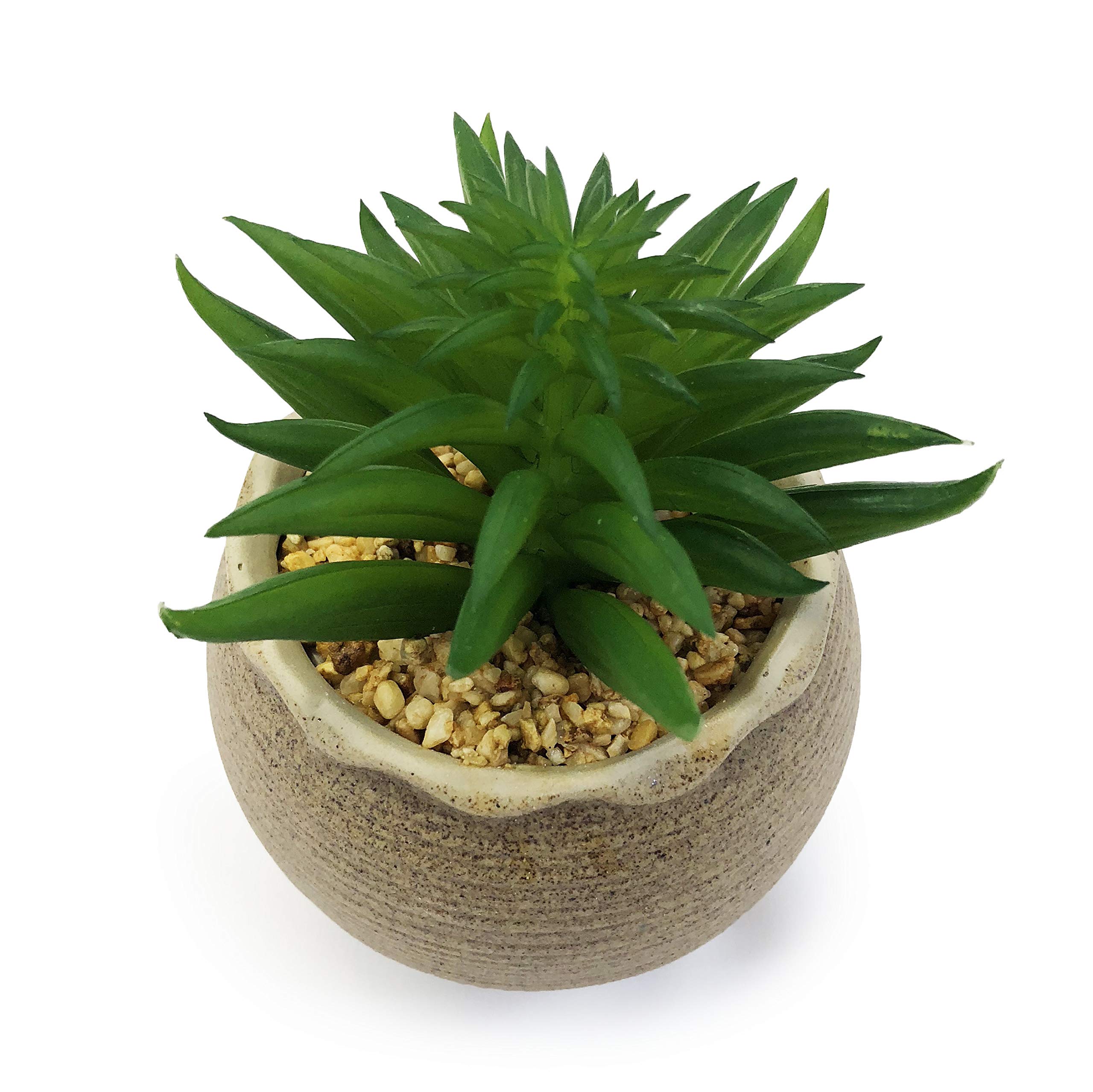 Allgala Small Desktop Artificial Succulent Plants - Realistic Fake Plants for Indoor & Outdoor Decor with Natural Clay Pot - Perfect for Home, Office, and Garden Decoration