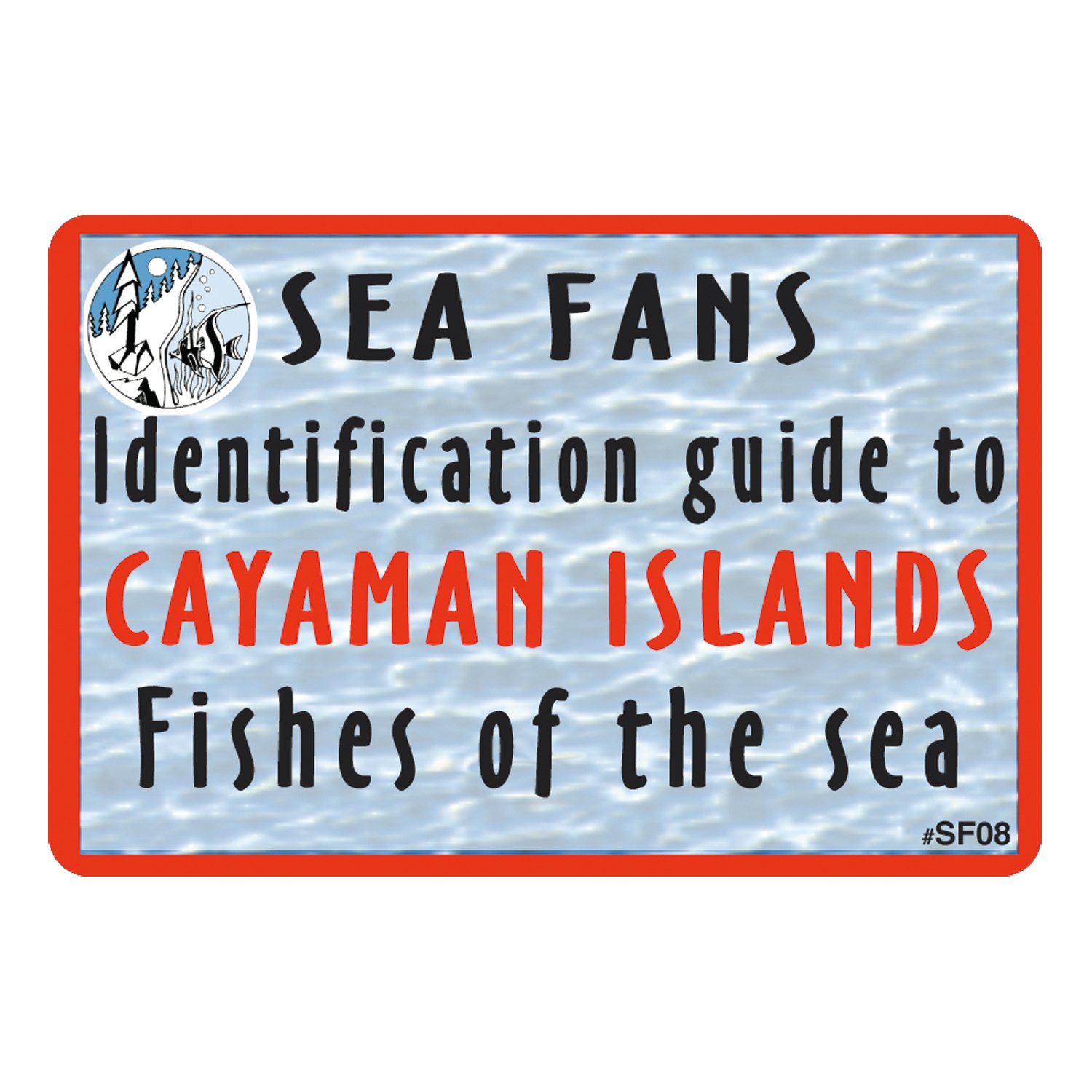 Trident Waterproof Fish Identification Flash Cards with Swiveling Snap Hook - Perfect for Anglers, Marine Biologists & Outdoor Fishing Enthusiasts