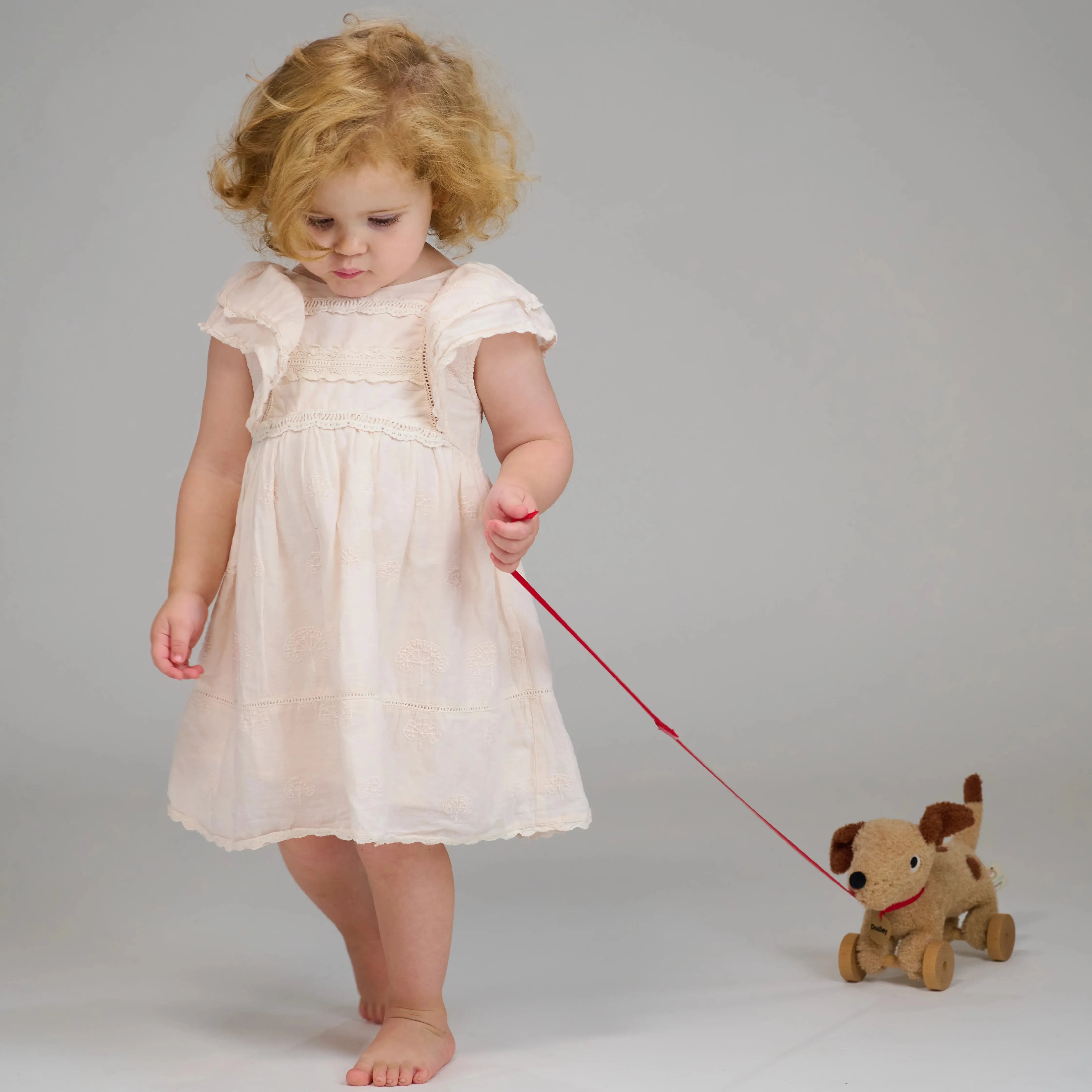 Dudley Pull Along Dog Toy - Interactive Plush Pet Toy for Small & Medium Dogs - Perfect for Indoor Play, Training & Bonding