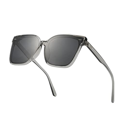Transparent Grey Frame / Grey Lens