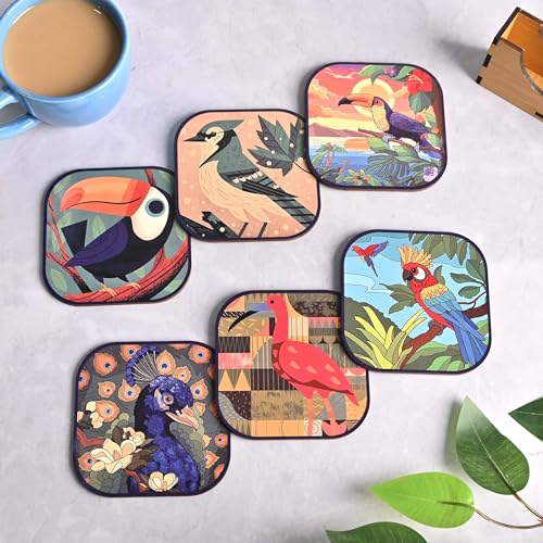 Birds