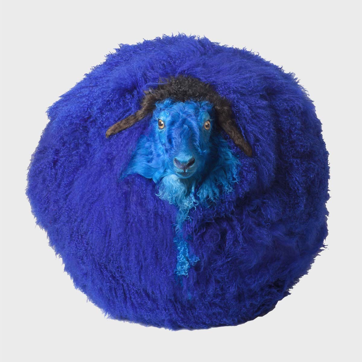 Inflatable Blue Dyed Sheep - Fun Pool Float, Party Decoration & Photo Prop for Summer Parties, Beach Days & Backyard Fun