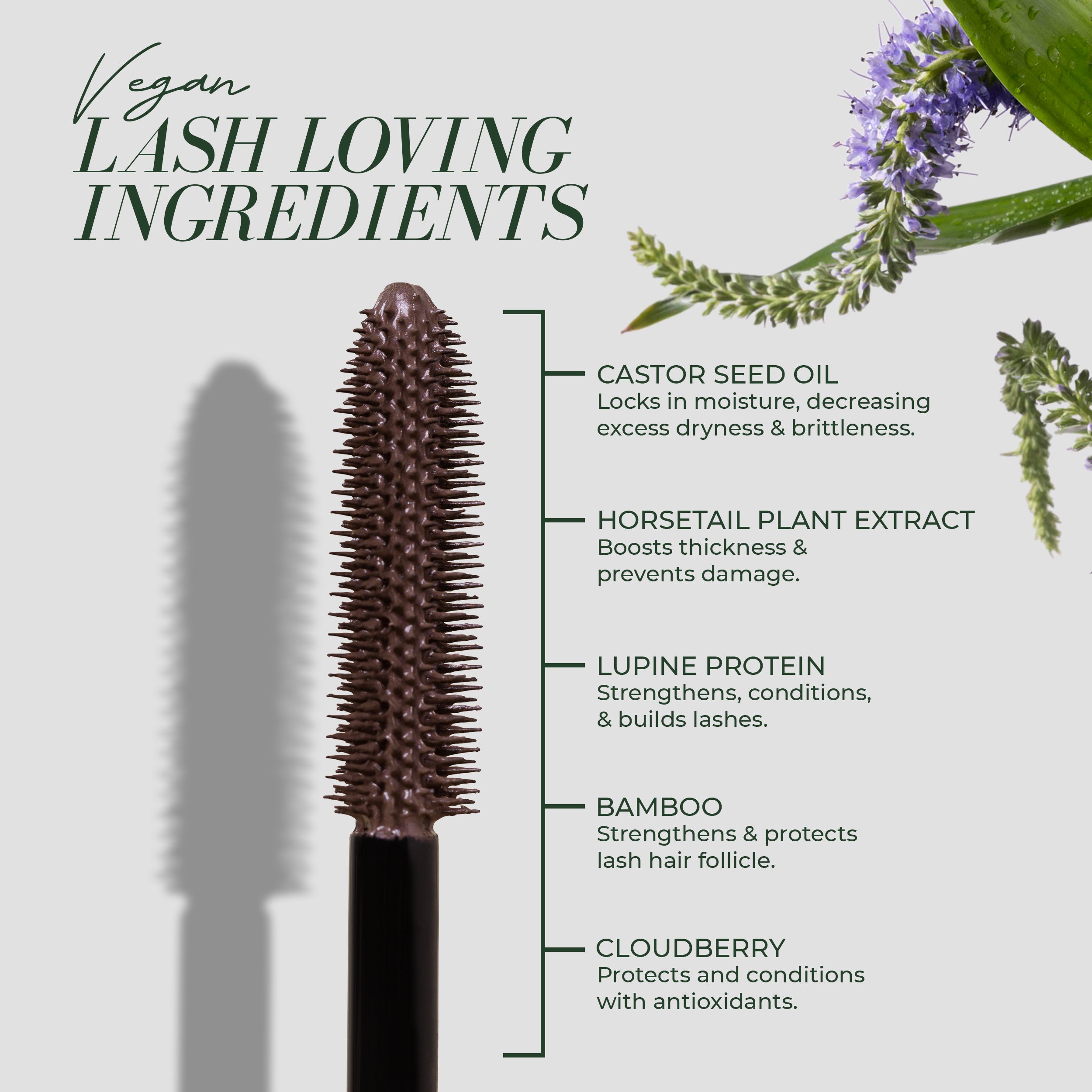 Plum Lash Primer - Volumizing & Lengthening Eyelash Base Coat for Stunning Eye Makeup | Perfect for Daily Wear, Special Occasions & Professional Makeup Artists