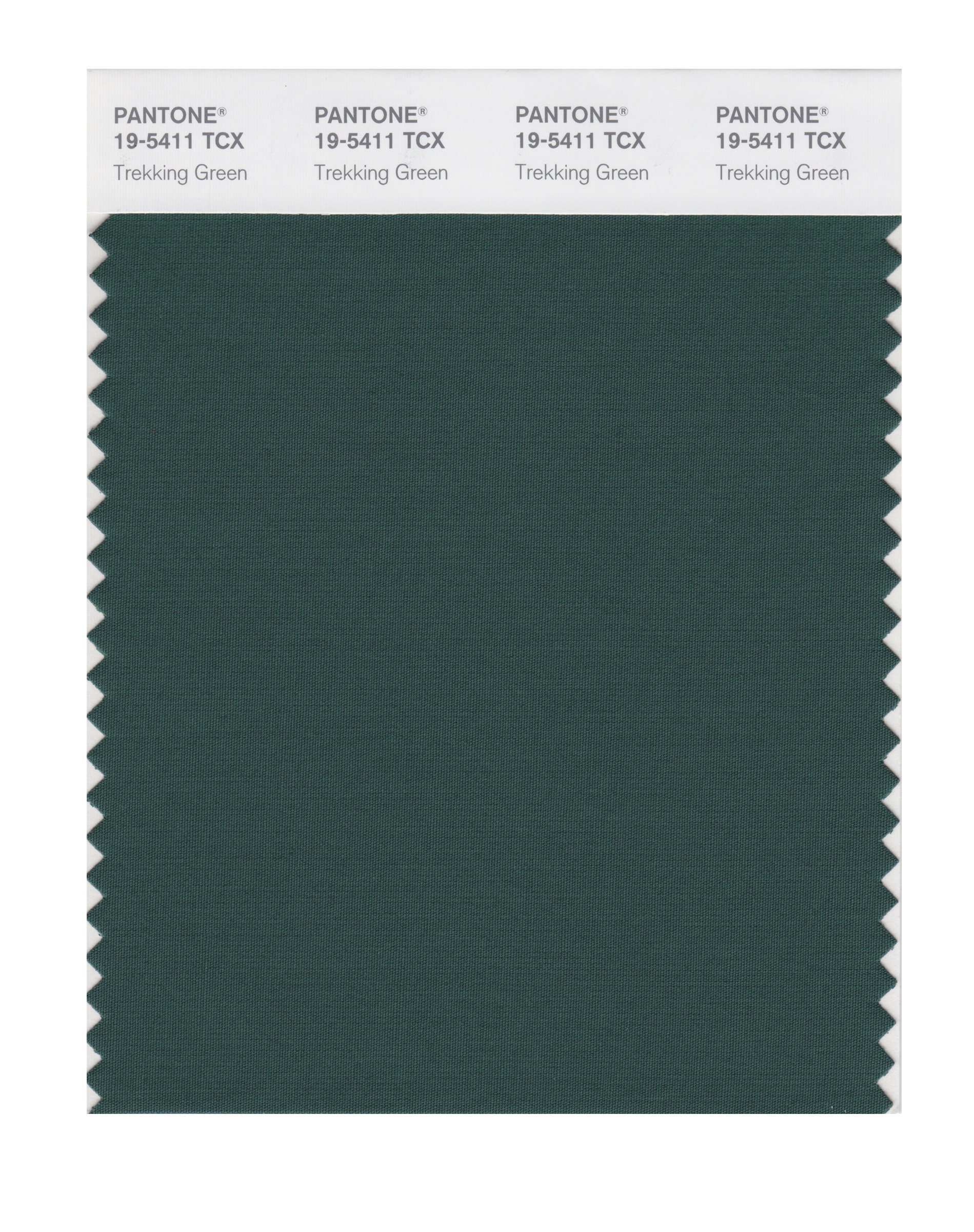 PANTONE Smart 19-5411X Trekking Green Color Swatch Card | Professional Color Matching Tool for Graphic Design, Printing & Branding | Perfect for Designers, Artists and Print Professionals