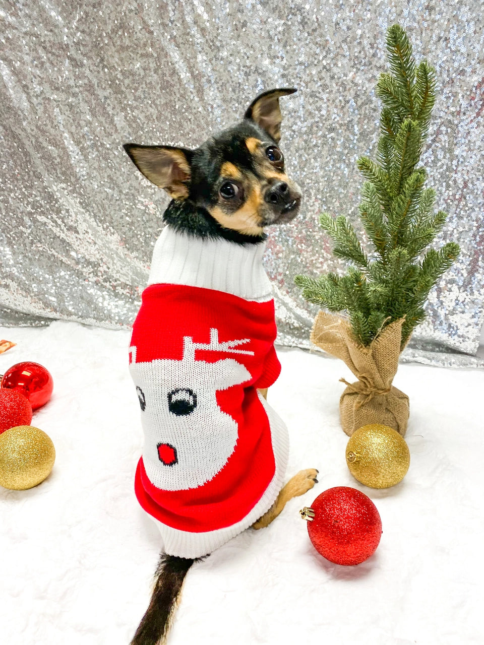 Red Rudolph Christmas Dog Sweater - Soft Combed Cotton Holiday Pet Apparel for Small & Medium Dogs - Perfect for Festive Parties & Family Photos