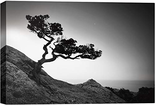 Base06-2103-nature-fo01