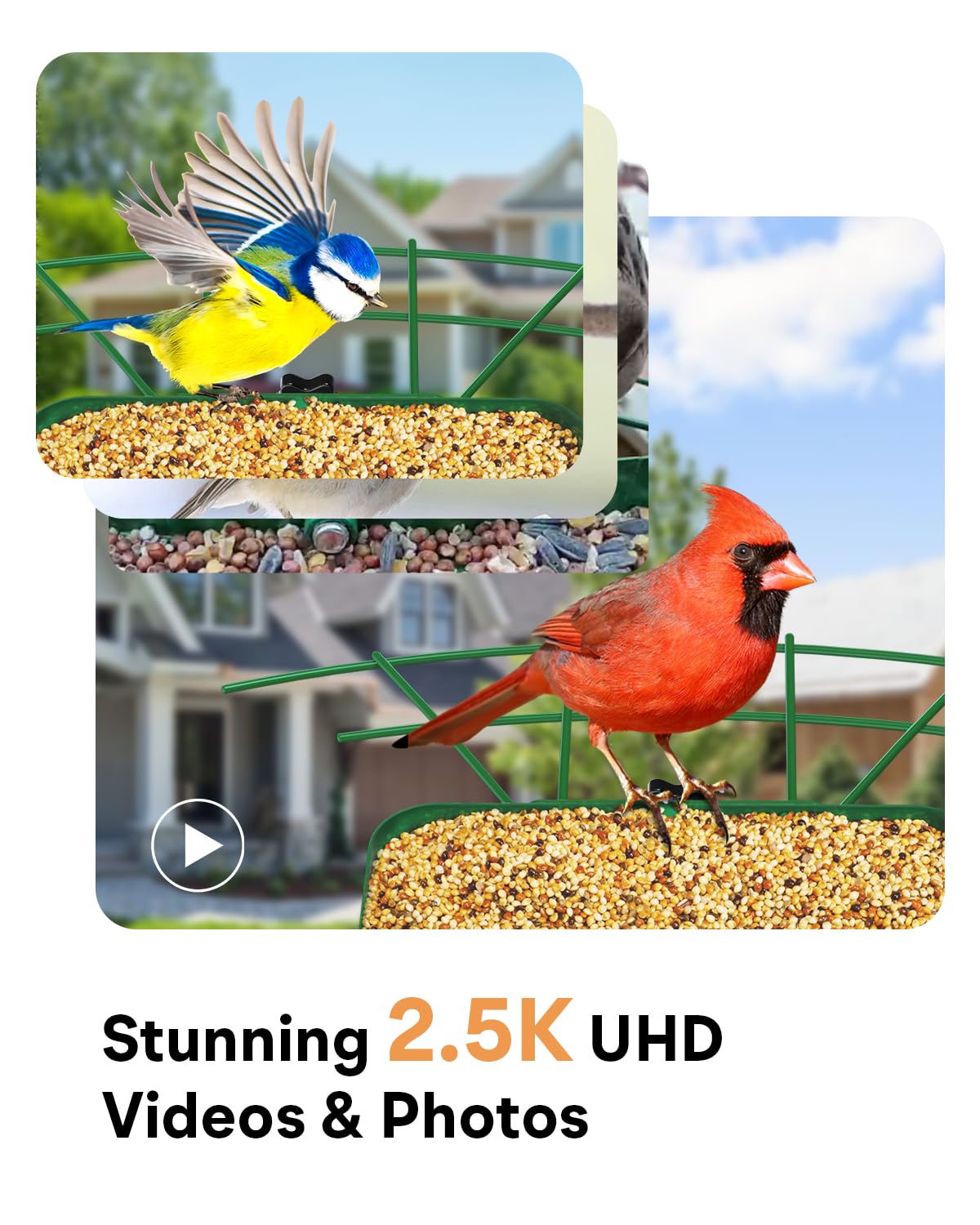 Smart Bird Feeder with Camera - Wireless HD Bird Watching Camera with Auto Capture, Motion Detection & Night Vision - Perfect Gift for Bird Lovers - Ideal for Backyard, Garden & Nature Observation