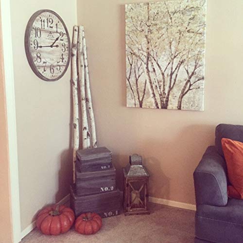 Wilson 5ft Decorative Birch Poles - Natural Wood Sticks for DIY Crafts, Home Decor & Garden Projects (Set of 4 Poles, 1.5-2.5 inch Diameter) - Perfect for Wedding Centerpieces, Rustic Decor & Plant Supports