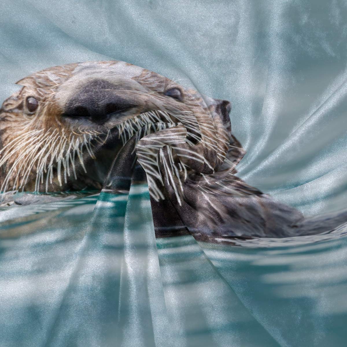 ALAZA Hi Otter Throw Blanket - Ultra Soft & Warm Flannel Blanket for Bed, Couch, Sofa - Lightweight Polyester Microfiber 50x60 Inches - Perfect for Cozy Nights, Movie Time & Home Decor