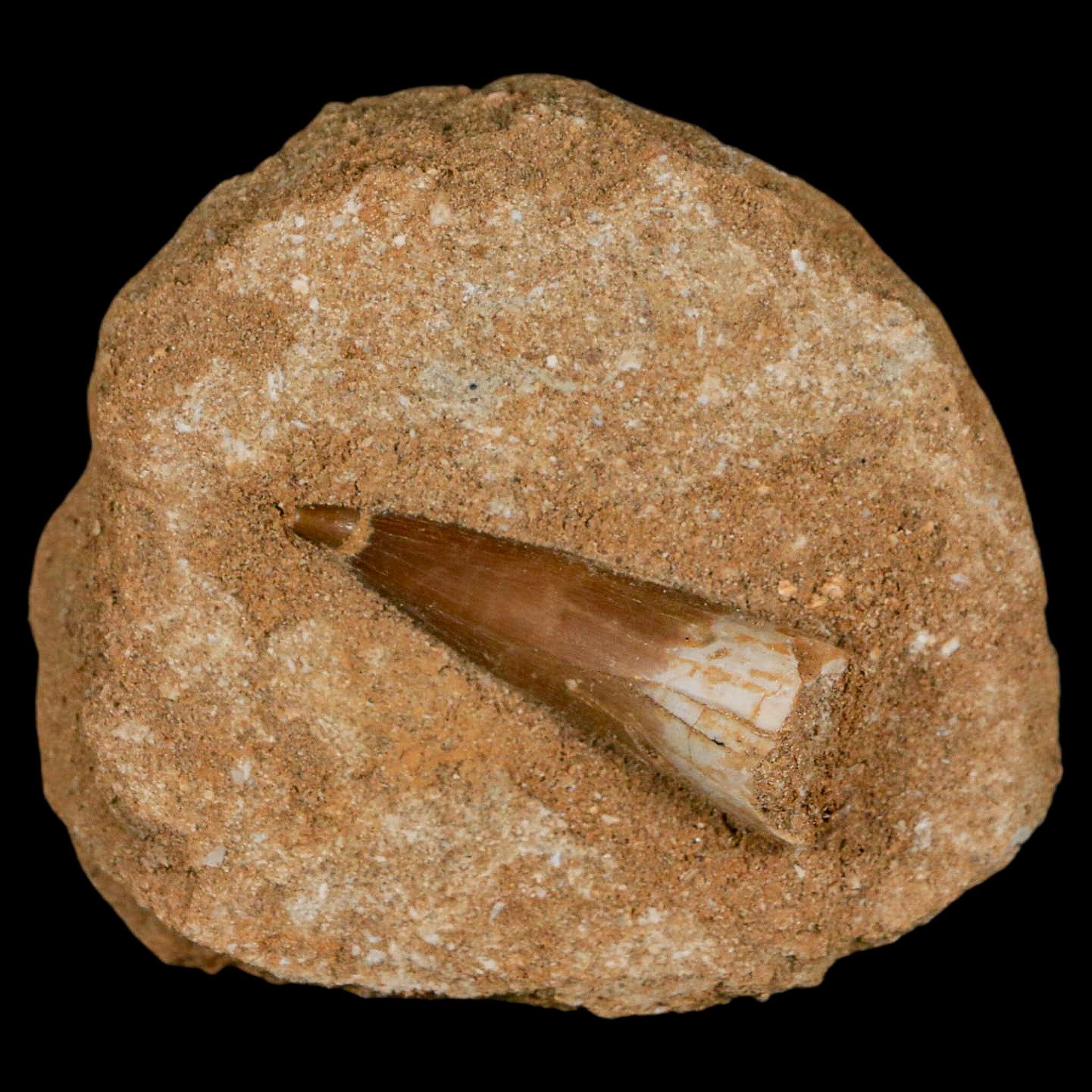 1.6
