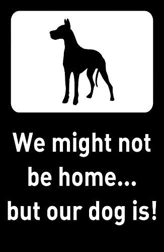 Vinyl Safety & Warning Stickers Bundle - 3 Pack (3.5