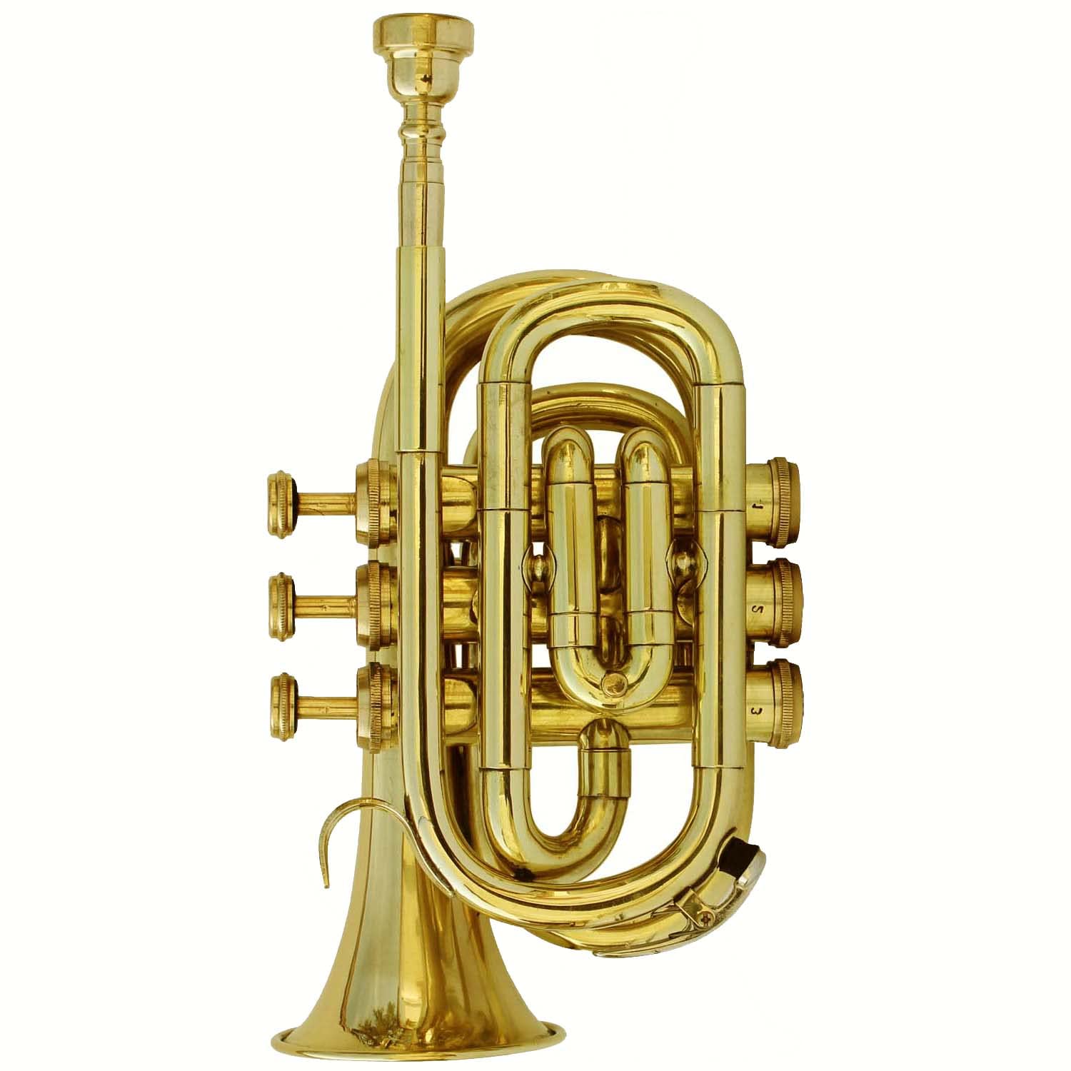 Professional Bb Pocket Trumpet Brass Instrument with Free Hard Case & Mouthpiece - Perfect for Beginners, Travel & Practice | Best Musical Gift for Students & Jazz Enthusiasts