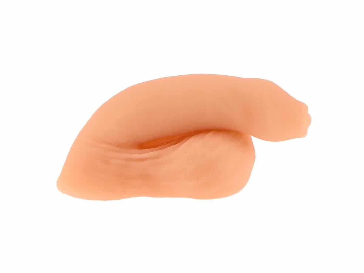 Cashew