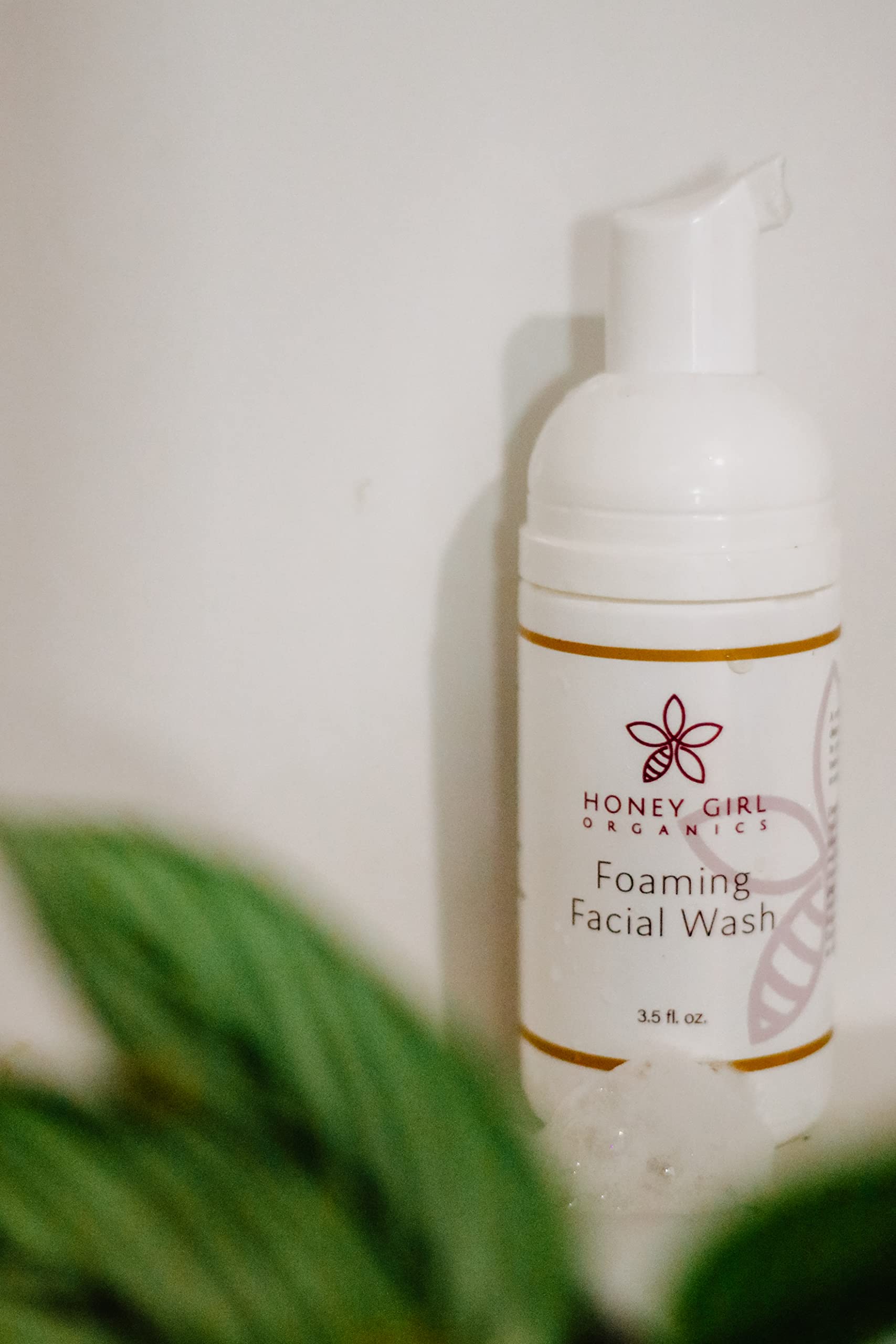 Honey Girl Organics Foaming Facial Wash - 3.5 fl oz | Natural & Organic Face Cleanser for Sensitive Skin | Perfect for Daily Skincare Routine & Travel