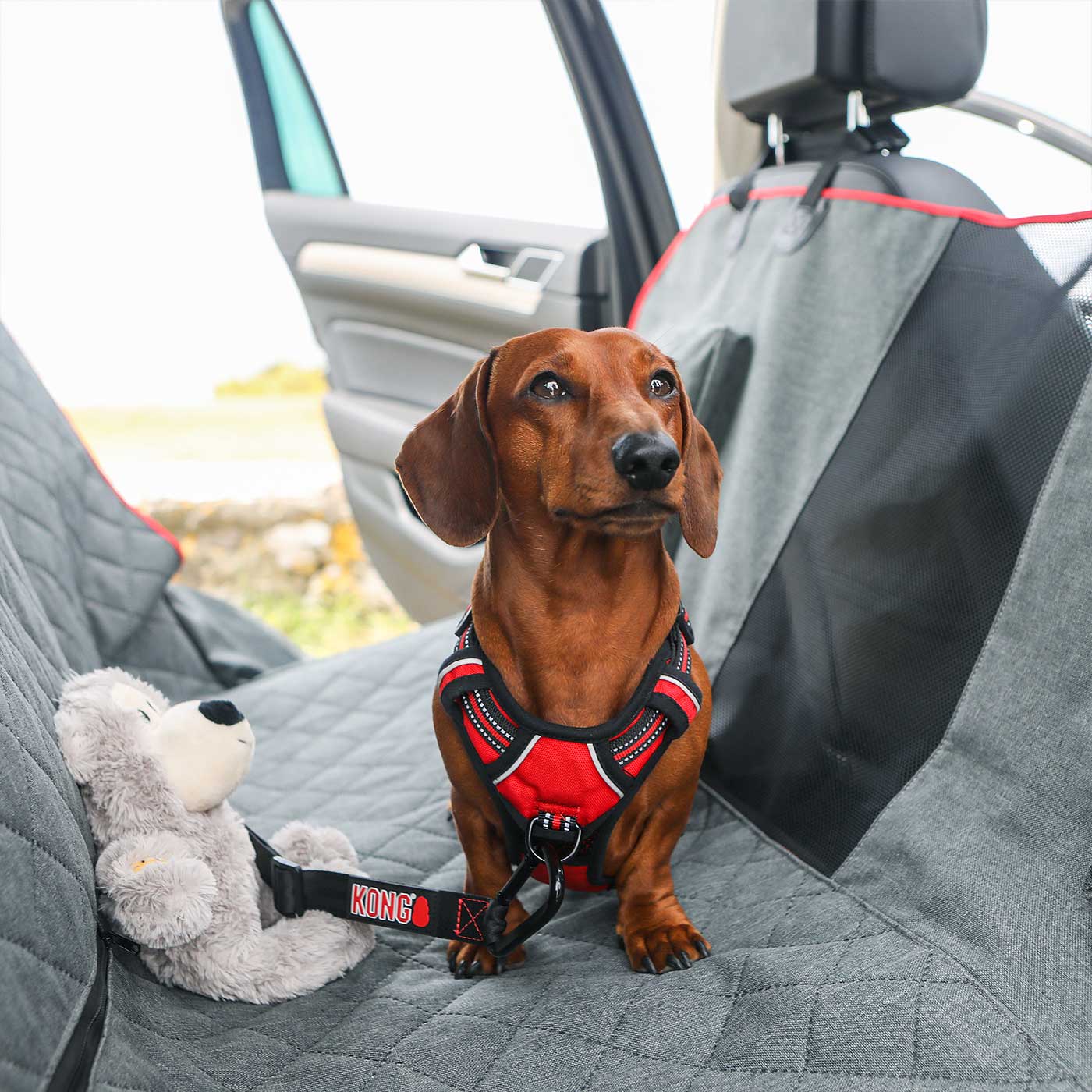 Durable KONG 2-in-1 Bench Seat Cover & Pet Hammock for Cars - Waterproof Dog Car Seat Protector with Chew-Resistant Material - Perfect for Travel, Road Trips & Vet Visits